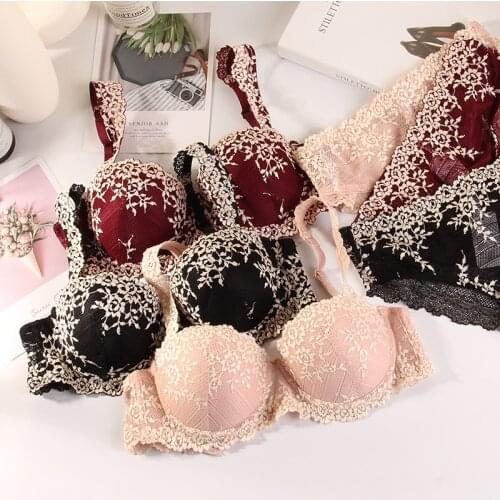 Embroidered half-cup soft steel ring bra set tube top underwear women push up lingerie with panties sexy lace female bralette