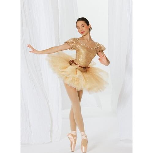 Girls Ballet Dancing Tutu Dress Female Dancing Costume Childrens Tutu Dress Children Stage Performance Costume D-0434