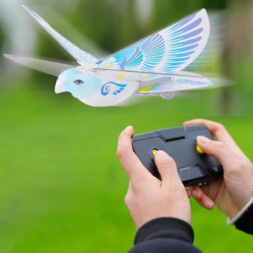 HoppyGro Radio-controlled Toys