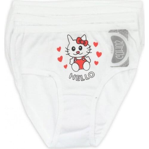 Silver Underwear Clothing 4 PCs Female Child Panties 040-3036-027