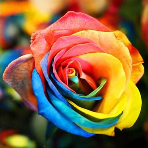 5D DIY Diamond Painting Flower Cross Stitch Kit Mosaic Diamond Embroidery Rose Full Square Drill Home Decoration