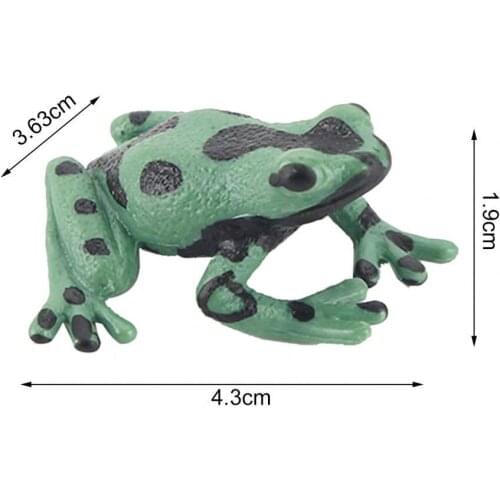 Frog Model Smell-less Solid PVC Realistic Frog Figure Home Decor Tabletop Ornament Toddler Early Education Cognition Toy