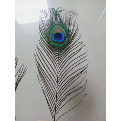 New! Sale 100 ps 100% high quality natural peacock feathers, 10-12inches / 25-30cm, DIY family, wedding, decorative handicrafts