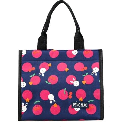 Functional Pattern Cooler Box Portable Insulated Thermal Food Picnic Lunch Bag Launch Bag Female Oxford Handbag Can Customized