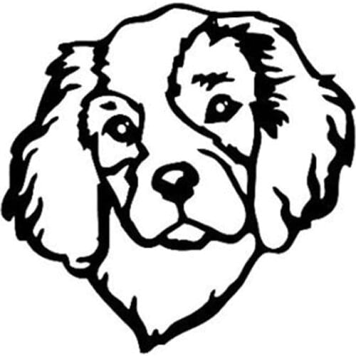 12.7*12.7CM Cavalier King Charles Spaniel Dog Pet Vinyl Decal Window Decorative Car Stickers Black/Silver C6-1759