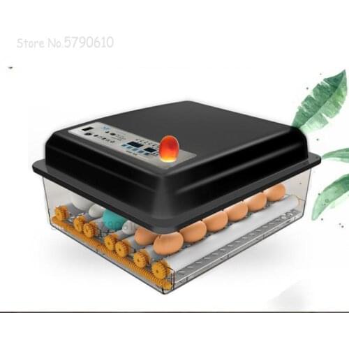 Chicken, Duck And Goose Incubator Small Home Full-automatic Intelligent Incubator Water Bed Mini Full-automatic Incubator