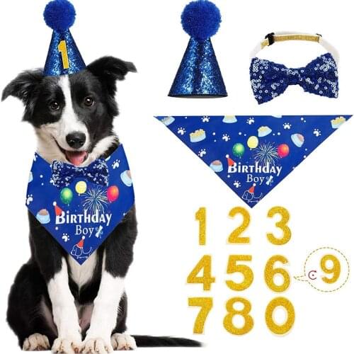 Dog Birthday Party Supplies with Birthday Banner Hat Balloons Collar Bib for Pet Puppy Birthday Decorations Boy