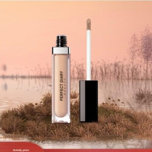 Liquid Concealer Cover Face Acne Marks Acne Freckle Spots Concealer Concealer Plate Pen