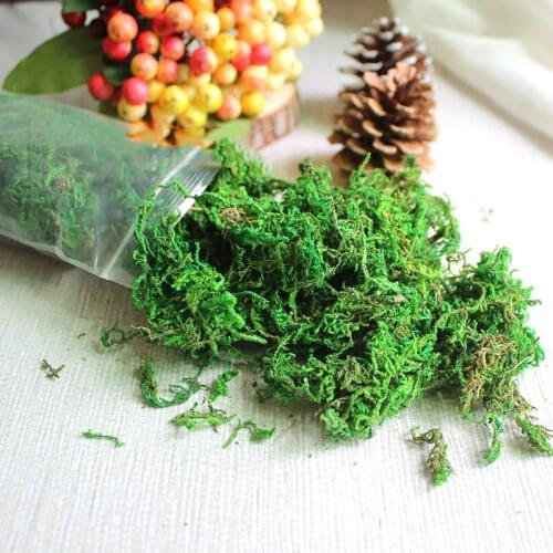 Artificial Green Dry Moss Decorative Plants Vase Turf Simulation Landscape Fake Flower Accessories Flowerpot Decoration