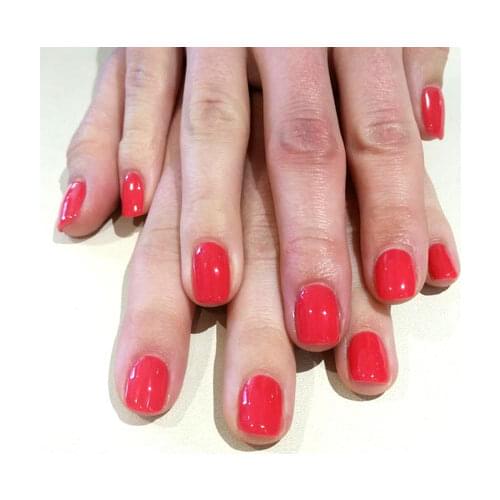 09943 Lobster Roll gel polish primer UV gloss sealer soak enhanced 7.3ml long lasting manicure art nail gel Lak varnish primer