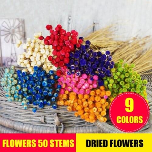 Flowers 50 Stems Dried Flowers for Arrangements Bundle Home Decor Photo Props Handmade Air-drying GQ