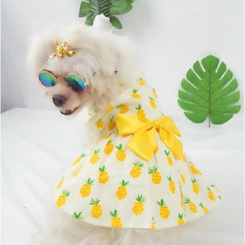 Summer Dog Clothes Dress For Dogs Clothing Chihuahua Small Puppy Skirt Fruit Print Chihuahua Yorkshire Shih Tzu Maltese Dresses