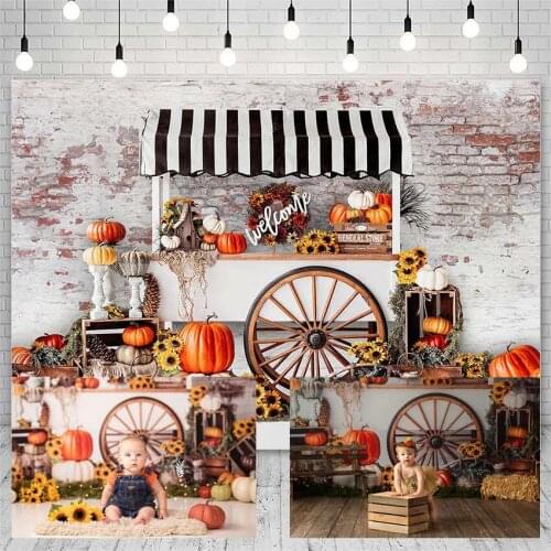 Avezano Photography Backdrop Halloween Autumn Farm Pumpkin Sunflower Store Decoration Kid Background For Photo Studio Photophone