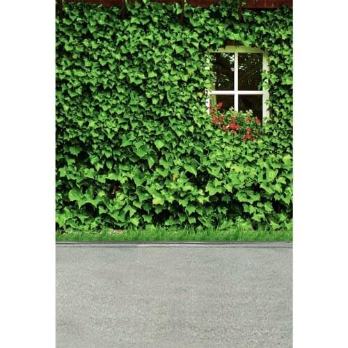 Natural Scenery Photography Backdrops Window Ivy Backgrounds for Photo Studio Vinyl Cloth Computer Printed Customized Photophone