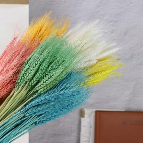 50pcs Wheat Ears Multicolors Long-Term Natural Preserved Dried Flower Photograph Home Wedding Bussiness Openning Decoration