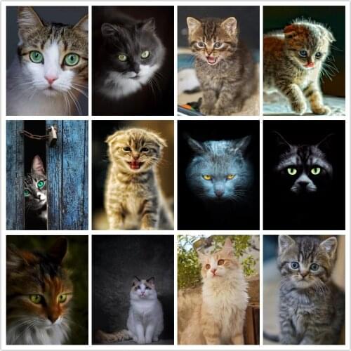 5D DIY Square/Round Diamond Painting Animal Diamond Embroidery Cat Diamond Mosaic Cross Stitch Home Decoration