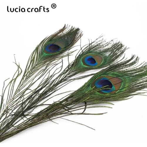 Lucia crafts 25-30cm Natural Peacock Eye Tail feathers DIY hair wedding party home decoration 5pcs/lot H0504