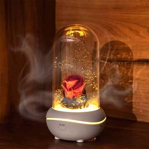 Preserved Rose Lamp Christmas LED Lamps Aromatherapy Mechine Aroma Essential Oil Diffuser Unique Present for Birthday Gift