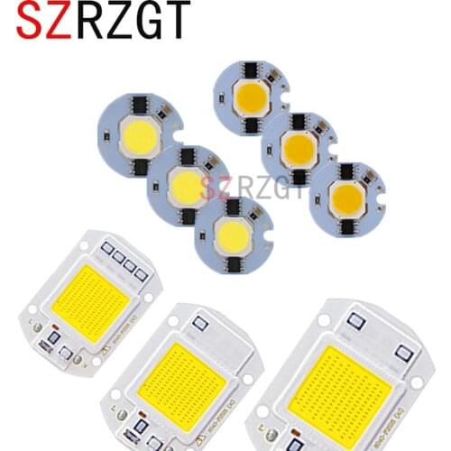 LED COB Chip 110V/220V 3W 5W 7W 9W 20W 30W 50W White/Warm White LED Bulb Lamp Input Smart IC Flood Light Spotlight