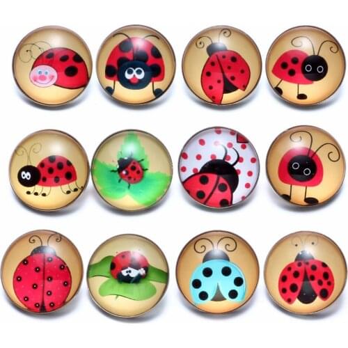 12pcs/lot Beetle Themes Glass Charms 18mm Snap Button Jewelry For 18mm Snaps Bracelet Snap Jewelry KZ0669b