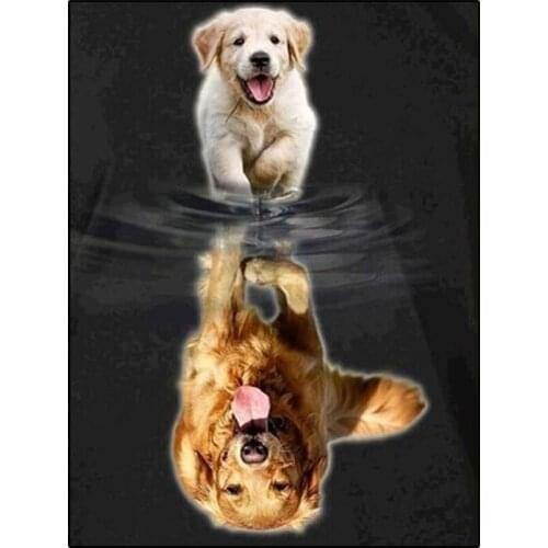 5d Diamond Art Painting Accessoires Animals Dog Cat Reflection In Water Full Drill Square Diamond Mosaic Paintings Home Decor