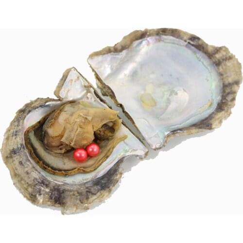 Twin Akoya Pearls in Saltwater Oyster 20pcs Vacuum-packed Akoya Pearl Oysters 6-7mm Loose Round Two Pearls Wish Pearl GiftABH650