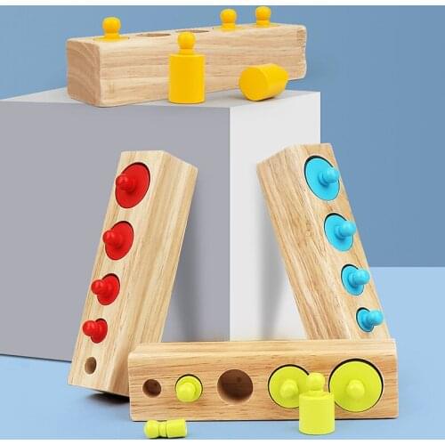 Baby Montessori Educational Wooden Toys Colorful Socket Cylinder Block for Children Preschool Learning Toy Sensorial Materials