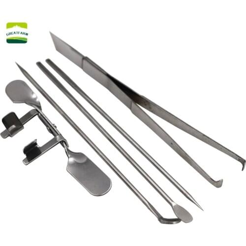 Chicken Castration Tool Stainless Steel Large Chicken Baby Chick Castration Cock Rooster Five-Piece Set Poultry Farm Tools New