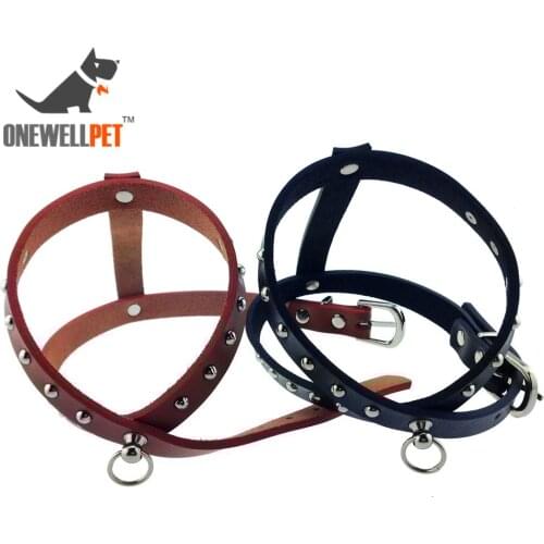 Onewellpet Harnesses