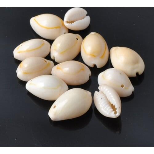 About 18mm Natural Seashell Scrapbook Craft for Home Decoration Concha Beach Nursery DIY 40pcs TRS0047