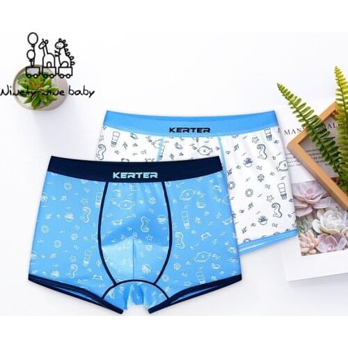 2 Piece Kids Boys Underwear Cartoon Childrens Shorts Triangle Brief for Baby Boy Boxers Cartoon Print Teenager Underpants 5-14T