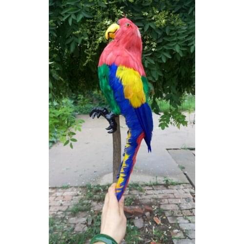 Simulation colourful feathers parrot 43cm model toy,polyethylene&furs feathers parrot toy 1947