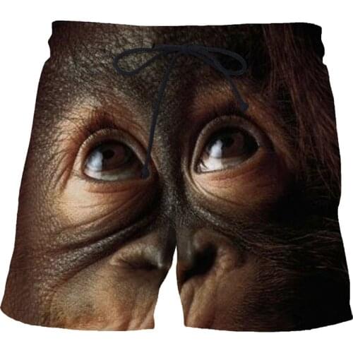 S-6XL Animal Graphic Beach Shorts For Men 3D Pattern Squirrel Boardshorts Men/Women Short Pants Cute Pet Bottoms Lovely Pants