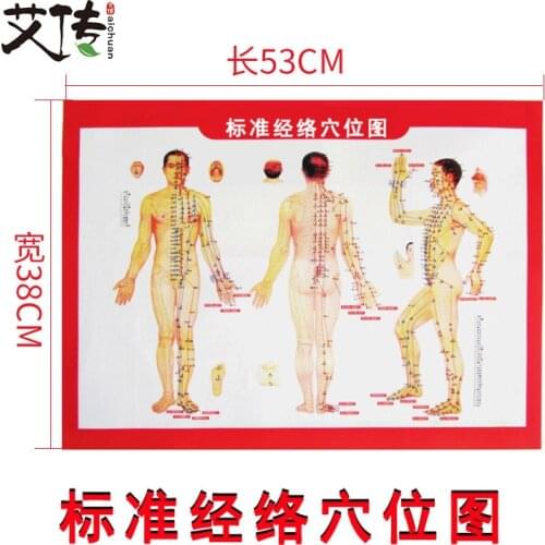 Moxibustion Acupoint Map Large a Human Meridian Figure Hanging Picture of Commonly Used Moxibustion Reference Double-Sided