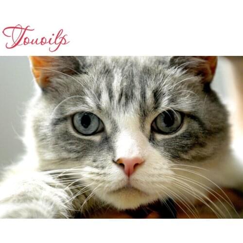 TOUOILP 5d Animal cat diamond embroidery,5d diamond Painting cross stitch,diamond mosaic,wall sticker,childrens room decor