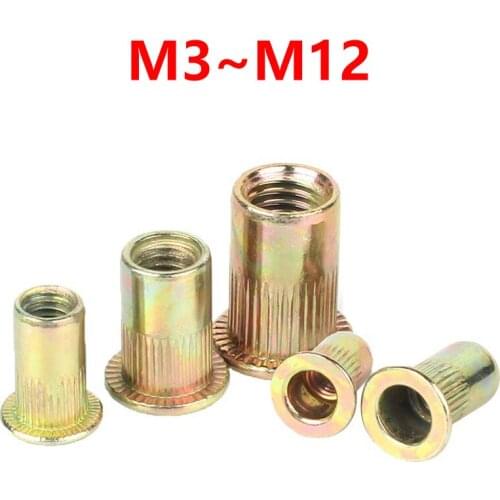 M3 M4 M5 M6 M8 M10 M12 Color-plated Zinc Carbon Steel Flat Head Nuts Rivet Insert Rivet Nuts Striped Anchor Cap Rivet Nuts