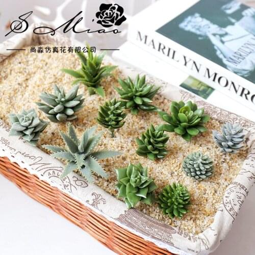 Diy Office Desktop Artificial Plants Simulated hard PVC Mini Succulent Plant Aloe Potted Ornaments No Flowerpot