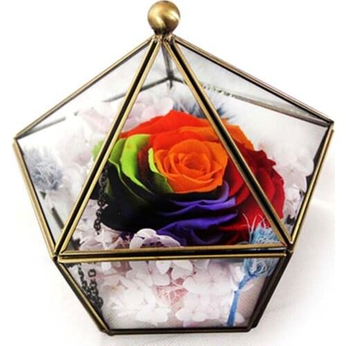 Home garden decoration Golden geometric glass flower room Micro landscape glass bottle Immortal flower box