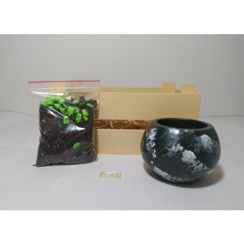 KENDİN YETİŞTİR LOCKER