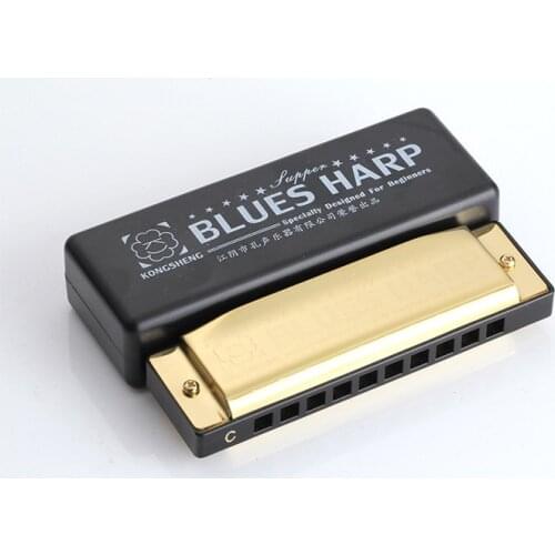 New Excellent 10 Hole BLUES Harmonica with case Brass stainless steel armonica professionale harmonica blues