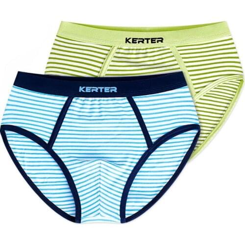 2 Pcs/lot Kid Boys Underwear cartoon For Baby Shorts Panties Childrens Boxer Underpants Briefs boys Underware Pants For CHU019