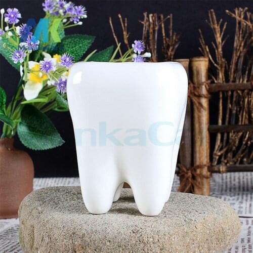 2 Pcs Tooth Shap Pastoral Style White Ceramic plant Pots Teeth model Flowerpot Flower Garden Pots Pencil Vase Dental gift
