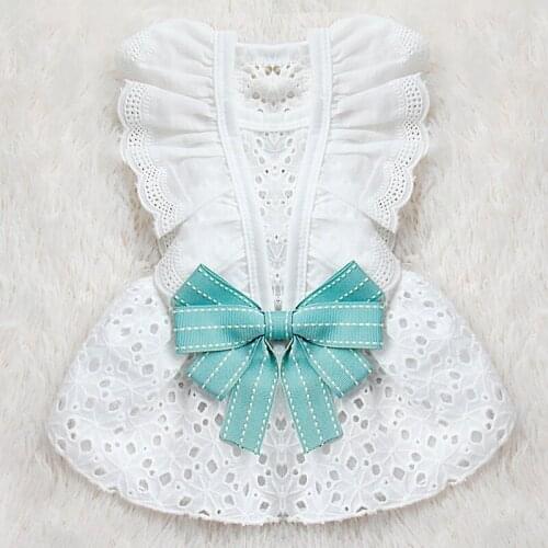 Dog Clothes South Korea Formal Dresses Maltese Dog Clothes One-Piece Dress Bichon Puppy White Dress Pomeranian York Long Skirts
