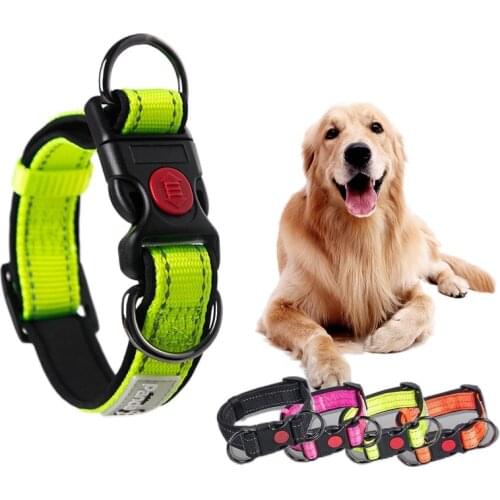 Pet Dog Leash, Small Medium-sized Dog Nylon Collar Double D Buckle Adjustment Luminous Reflective Dog Collar Harness Accessories