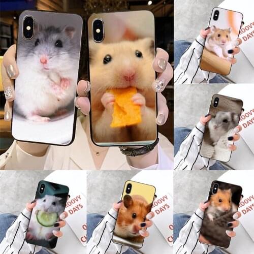 Hamsters cute animal high quality luxury Phone Case shell for iPhone 11 12 pro XS MAX 8 7 6 6S Plus X 5S SE 2020 XR