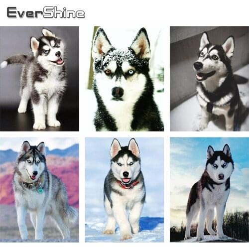 Evershine Diamond Painting Dog Cross Stitch 5D DIY Mosaic Embroidery Animals Full Square Painting Rhinestone Home Decoration