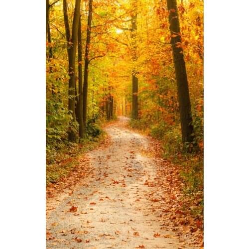 Autumn Photography Backdrops Froest Road Fallen Leaves Backgrounds for Photo Studio Portrait Photo Shoot Photophone Photocall 3D