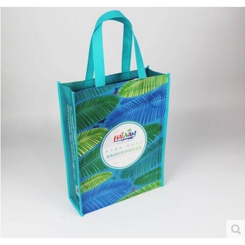 Expandable Reusable wholesale pp non-woven bag