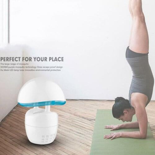 Dishun Mosquito Repellents