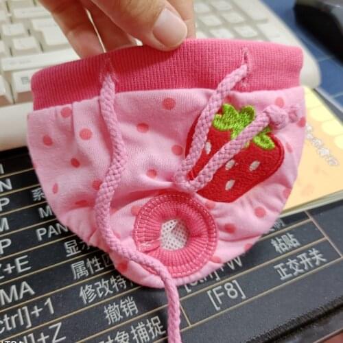 PETCIRCLE Women's Travel Shorts